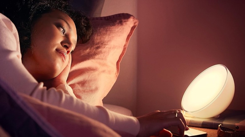 Philips Hue Go 便携灯
